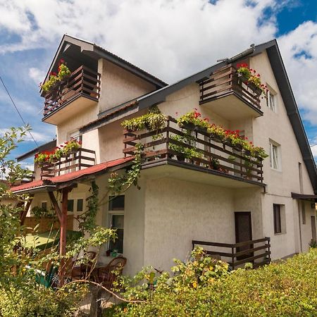 Drina - Bajina Basta Otel Dış mekan fotoğraf