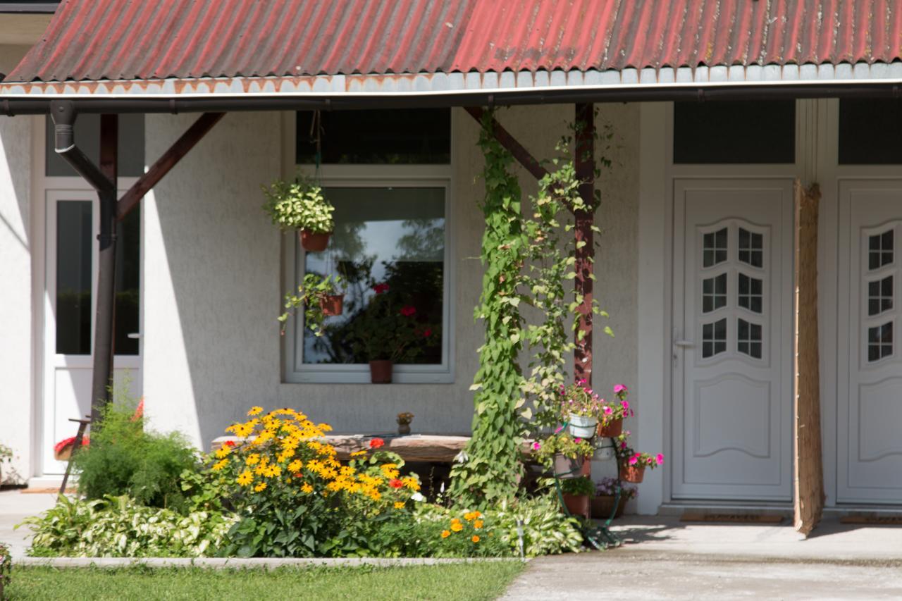 Drina - Bajina Basta Otel Dış mekan fotoğraf