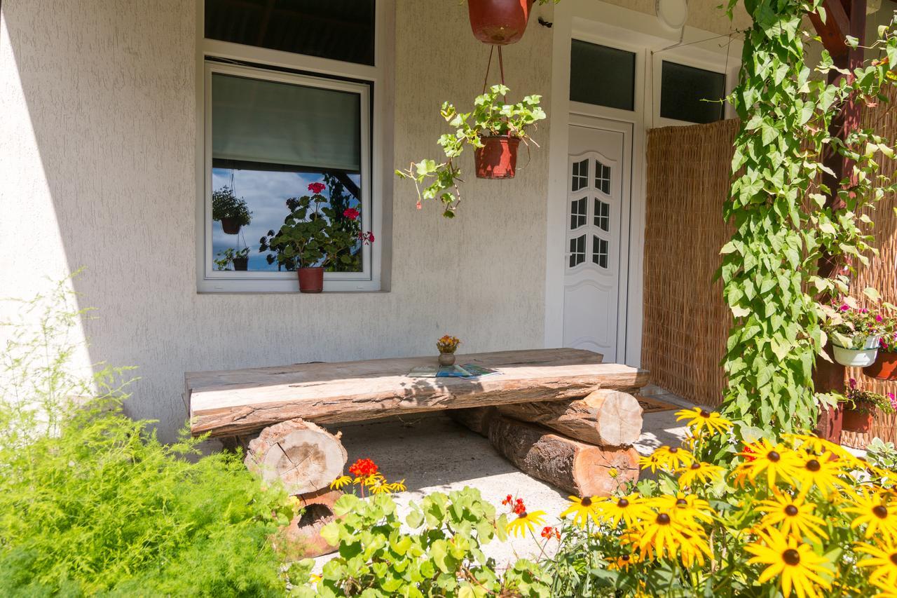 Drina - Bajina Basta Otel Dış mekan fotoğraf